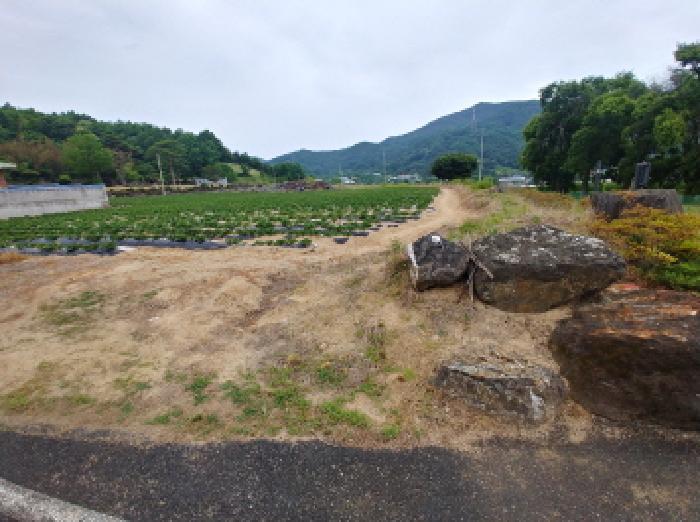 2025타경502551 법원경매 사진16 | 충남 금산군 답 경매