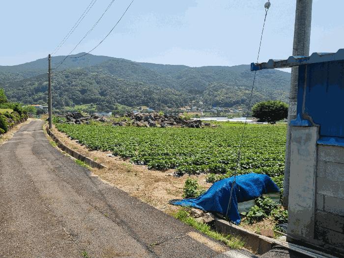 2025타경502551 법원경매 사진5 | 충남 금산군 답 경매