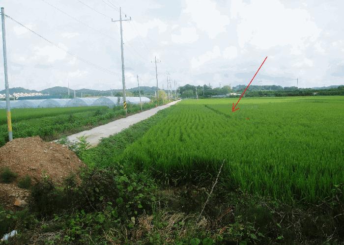경기도 파주시 연다산동 984 법원경매 물건 대표사진