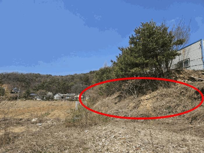 법원경매 2025타경71471 사진2 | 남양주시 수동면 외방리 임야 경매