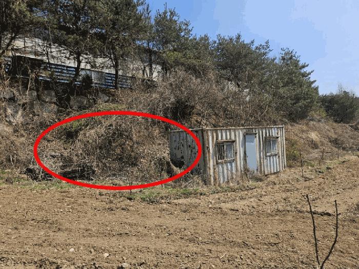 법원경매 2025타경71471 사진3 | 남양주시 수동면 외방리 임야 경매
