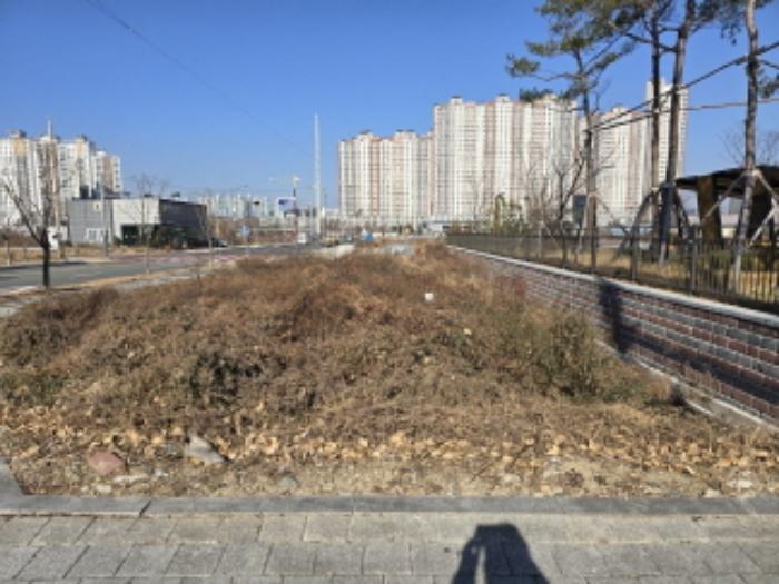 법원경매 2024타경127676 사진7 | 영천시 완산동 504-2 답 경매