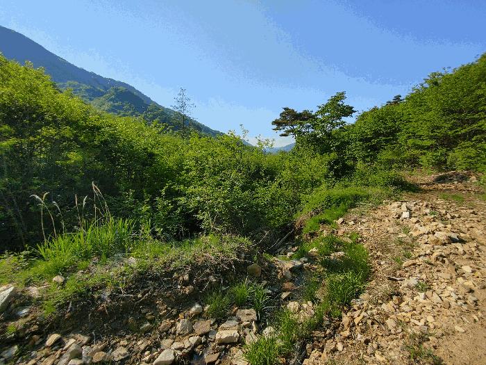 2025타경20337 법원경매 사진7 | 충남 논산시 임야 경매