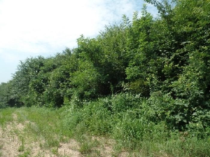 2025타경20337 법원경매 사진12 | 충남 논산시 임야 경매