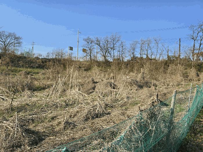 충청남도 천안시 서북구 성환읍 성월리 86-1 법원경매 물건 대표사진