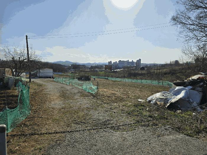 2025타경11383 법원경매 사진8 | 천안 서북구 과수원 경매