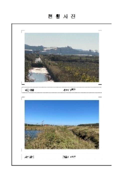 2024타경56317 법원경매 사진5 | 전남 무안군 잡종지 경매
