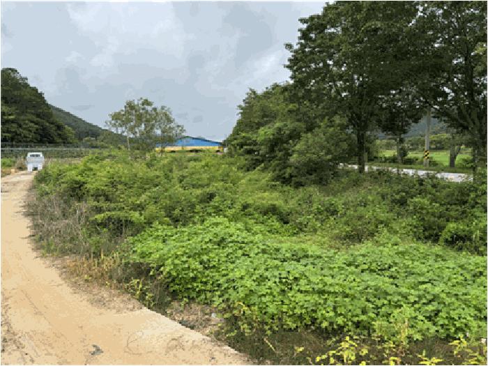 2025타경1147 법원경매 사진2 | 전북 순창군 답 경매