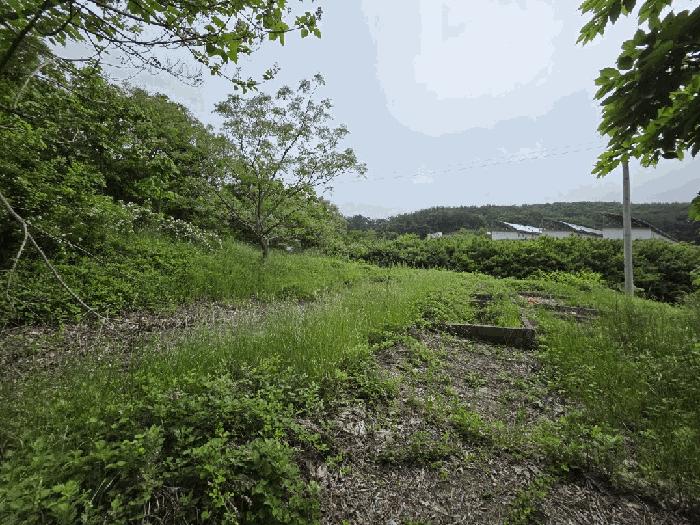 법원경매 2025타경51125 사진2 | 무안군 삼향읍 왕산리 357-3 전 경매