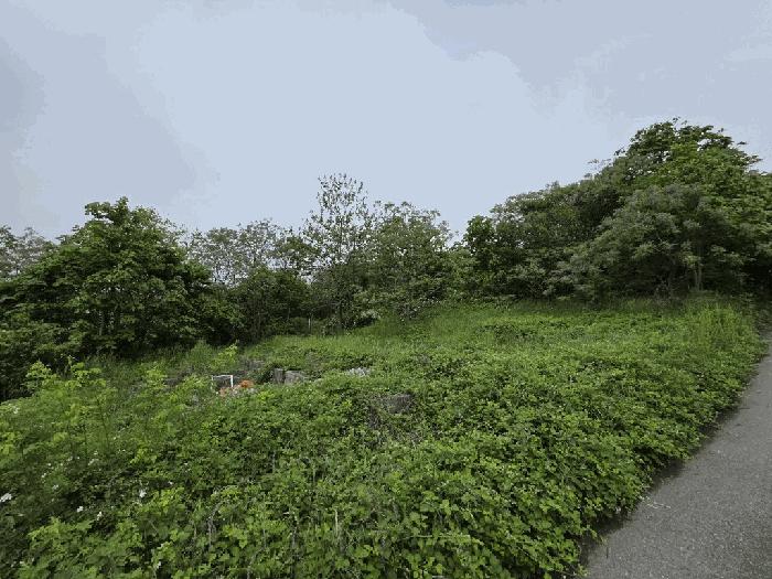 법원경매 2025타경51125 사진3 | 무안군 삼향읍 왕산리 357-3 전 경매