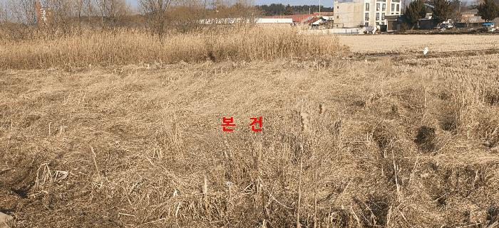 2025타경305 법원경매 사진2 | 전북 군산시 답 경매