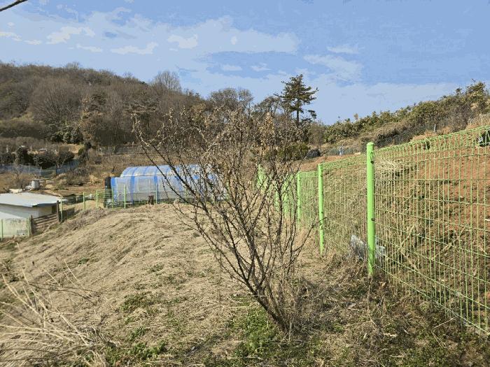 법원경매 2025타경308 사진6 | 군산시 나운동 1298 근린주택 경매