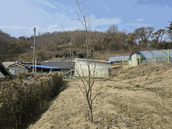 법원경매 2025타경308 사진7 | 군산시 나운동 1298 근린주택 경매