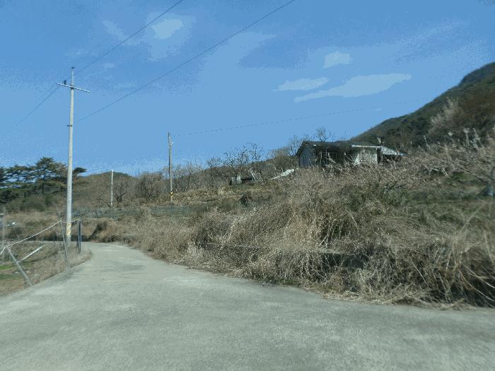 경상북도 청도군 금천면 오봉리 855 법원경매 물건 대표사진