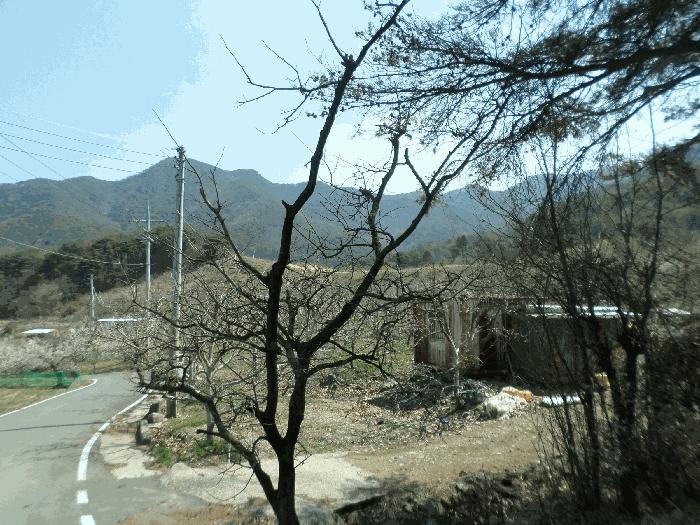 법원경매 2025타경672 사진2 | 청도군 금천면 답 경매