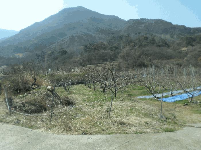 법원경매 2025타경672 사진5 | 청도군 금천면 답 경매
