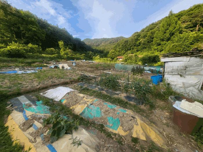 법원경매 2025타경3287 사진2 | 광주 동구 학동 196 전 경매