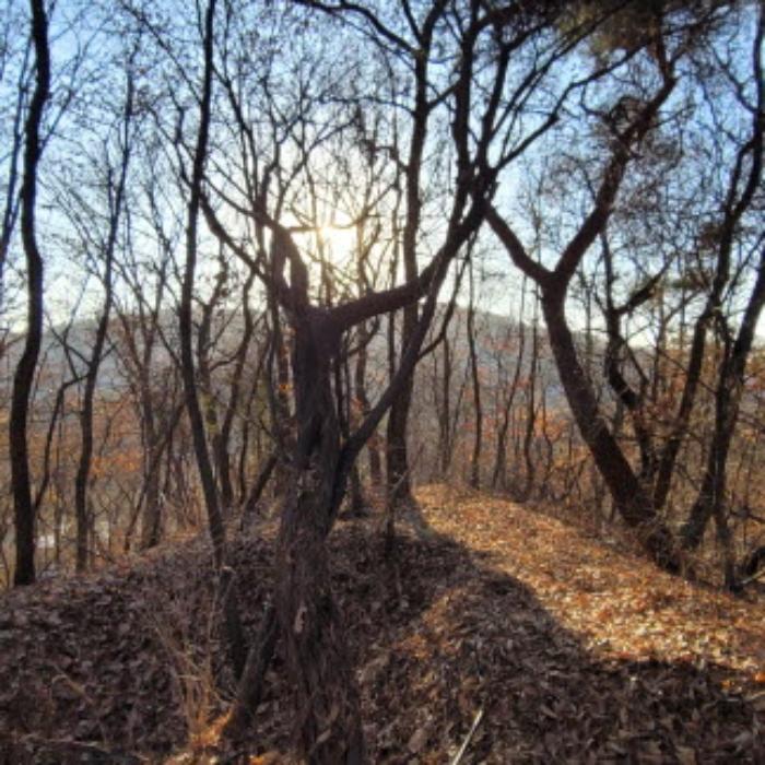 법원경매 2024타경9279 사진13 | 고양시 덕양구 고양동 421-8 임야 경매