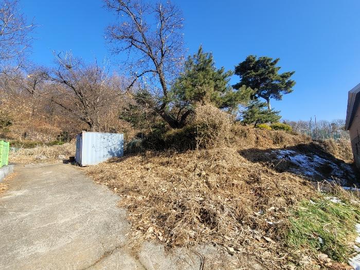 법원경매 2024타경9279 사진2 | 고양시 덕양구 고양동 421-8 임야 경매