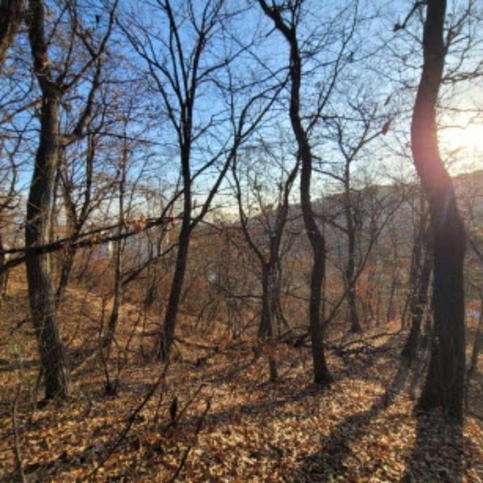 법원경매 2024타경9279 사진23 | 고양시 덕양구 고양동 421-8 임야 경매