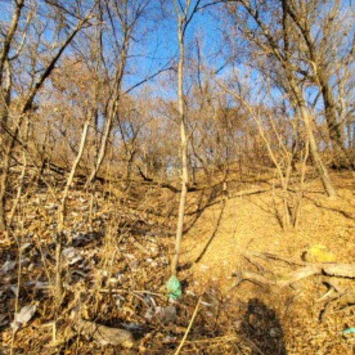 법원경매 2024타경9279 사진27 | 고양시 덕양구 고양동 421-8 임야 경매