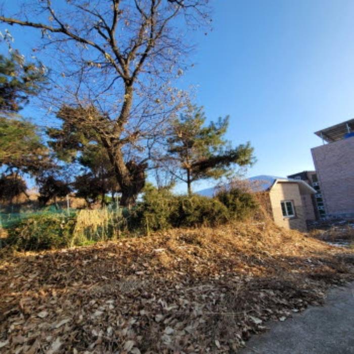법원경매 2024타경9279 사진7 | 고양시 덕양구 고양동 421-8 임야 경매