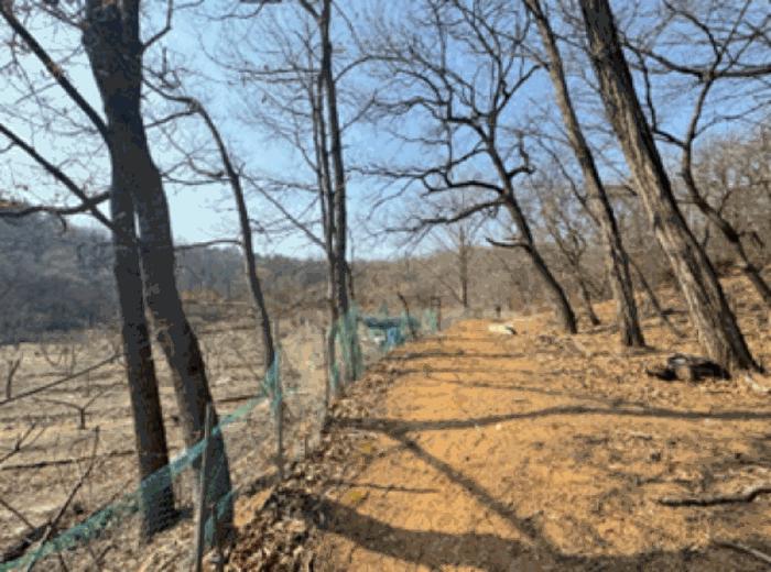 법원경매 2024타경64801 사진16 | 고양시 덕양구 주교동 495 답 경매