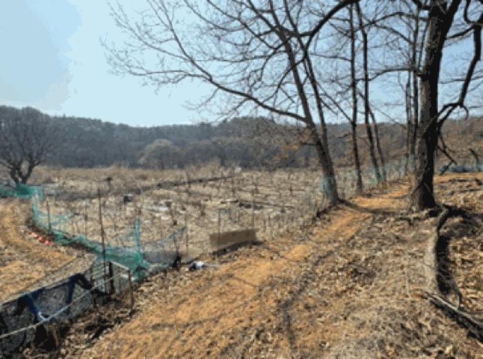 법원경매 2024타경64801 사진3 | 고양시 덕양구 주교동 495 답 경매