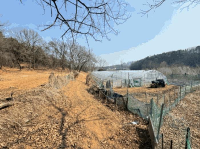 법원경매 2024타경64801 사진5 | 고양시 덕양구 주교동 495 답 경매
