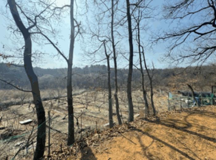 법원경매 2024타경64801 사진8 | 고양시 덕양구 주교동 495 답 경매