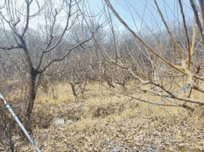 법원경매 2024타경64801 사진9 | 고양시 덕양구 주교동 495 답 경매