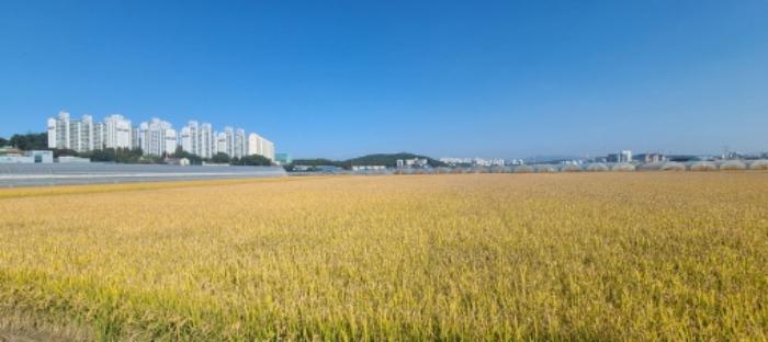 법원경매 2024타경81899 사진7 | 파주시 검산동 838 답 경매