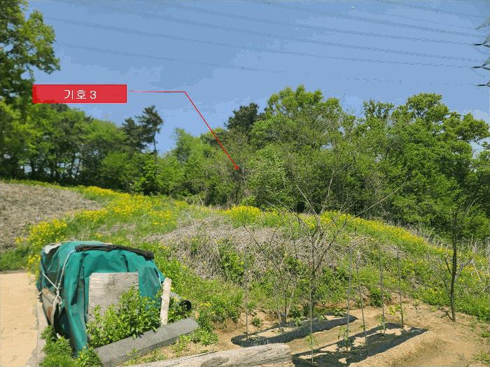 법원경매 2025타경63063 사진3 | 파주시 월롱면 덕은리 396-10 임야 경매