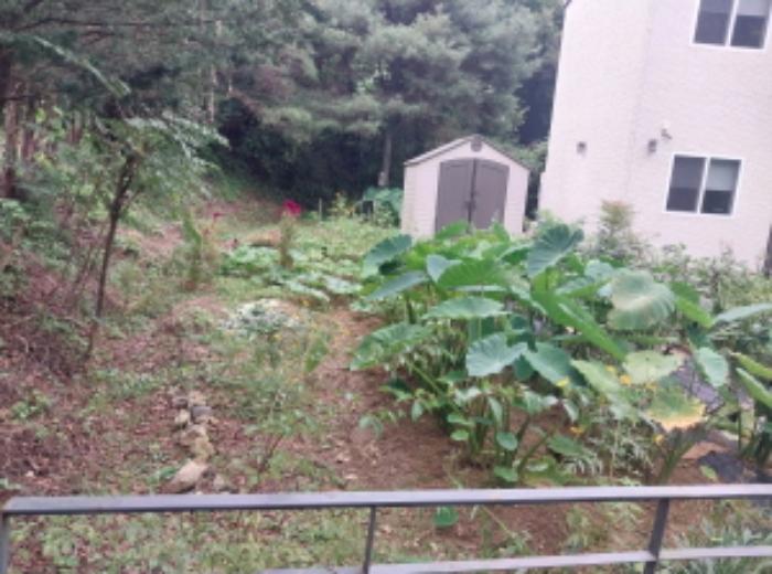 법원경매 2024타경86767 사진5 | 용인시 수지구 동천동 32 답 경매