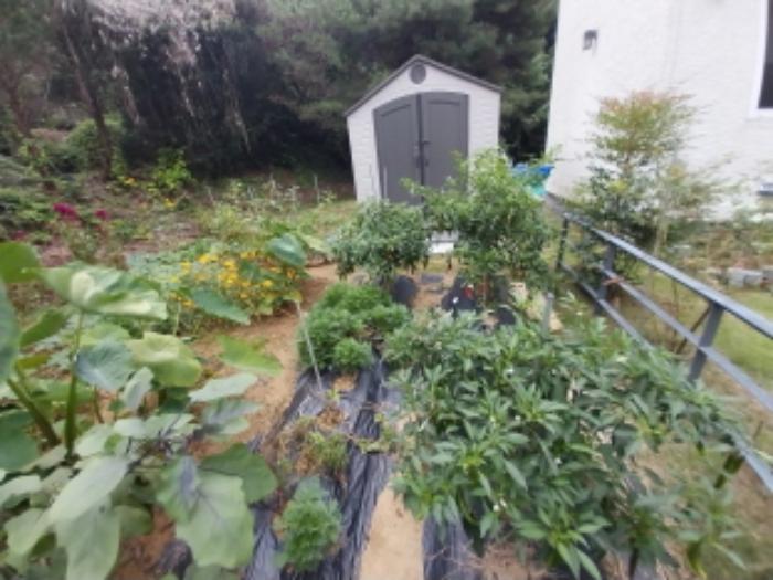 법원경매 2024타경86767 사진8 | 용인시 수지구 동천동 43-1 답 경매