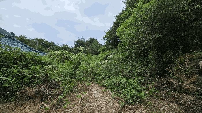 2025타경51614 법원경매 사진2 | 충북 괴산군 임야 경매