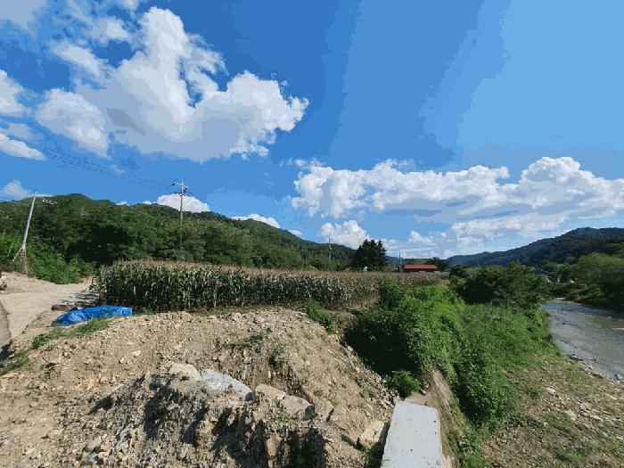 법원경매 2025타경1548 사진6 | 인제군 남면 어론리 825 답 경매