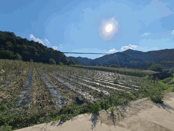 법원경매 2025타경1548 사진3 | 인제군 남면 어론리 임야 경매
