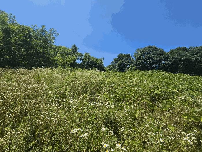 2025타경126 법원경매 사진7 | 충북 단양군 전 경매