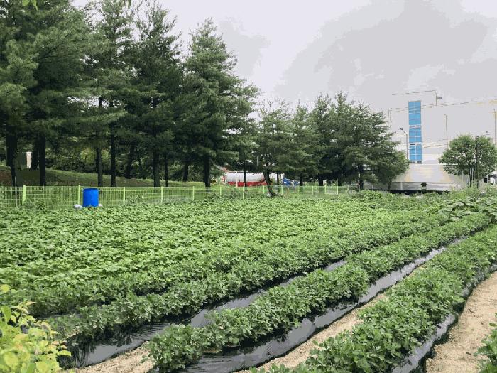 충청북도 제천시 왕암동 910 법원경매 물건 대표사진