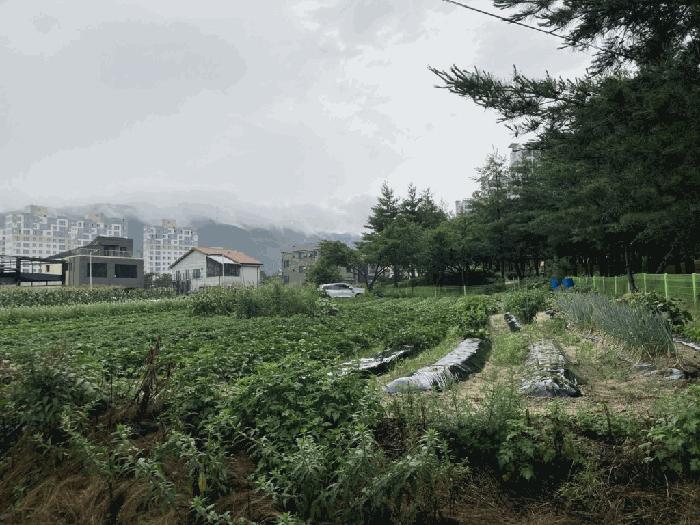 2025타경134 법원경매 사진4 | 충북 제천시 대지 경매