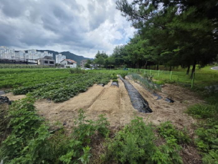 2025타경134 법원경매 사진5 | 충북 제천시 대지 경매