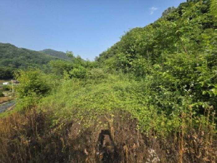 2025타경5340 법원경매 사진3 | 충북 제천시 전 경매