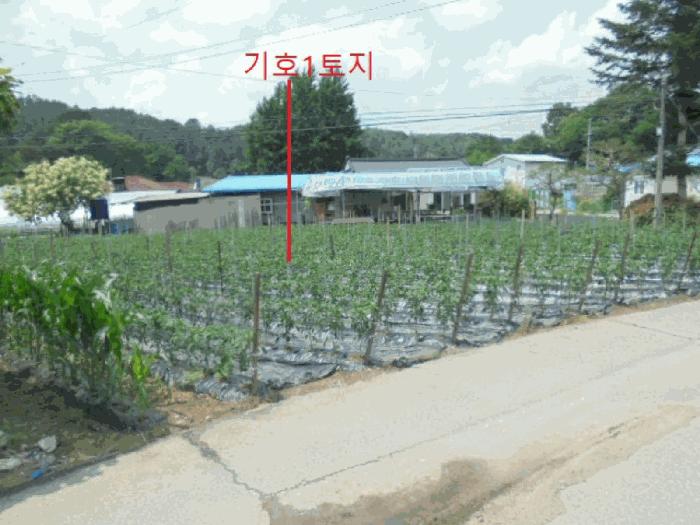 충청북도 제천시 백운면 평동리 367 법원경매 물건 대표사진