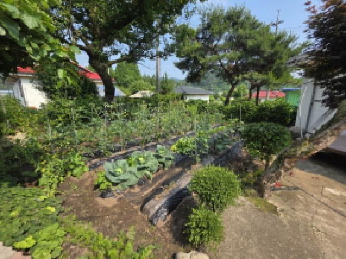 2025타경5342 법원경매 사진17 | 충북 제천시 대지 경매