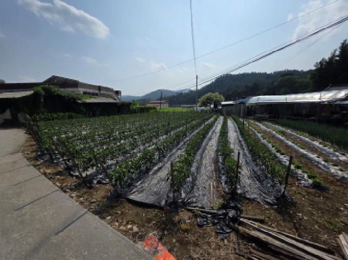 2025타경5342 법원경매 사진24 | 충북 제천시 대지 경매
