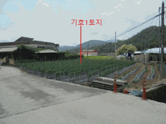 2025타경5342 법원경매 사진8 | 충북 제천시 대지 경매