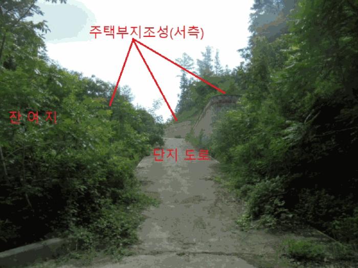 2025타경5354 법원경매 사진2 | 충북 제천시 임야 경매