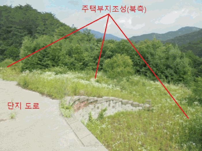 2025타경5354 법원경매 사진3 | 충북 제천시 임야 경매