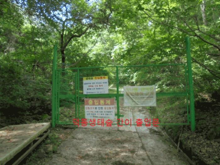 2025타경5354 법원경매 사진4 | 충북 제천시 임야 경매